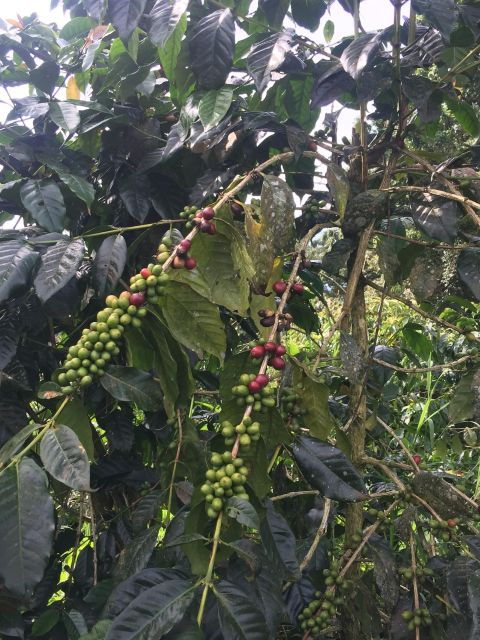 Wonderland Exotic Bali Nature - Balis Hinterland Adventure