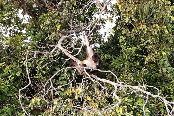 Wonders in the jungle of our mother culture Catemaco & Los Tuxtlas - What’s Included and What’s Not