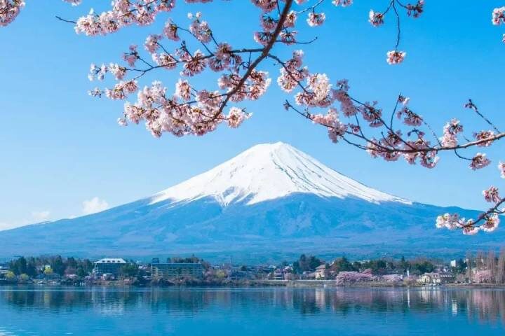Wonders Of Japan 10-Day Tour by Travel Talk - Tokyo starts with temples, gardens and big-city choices