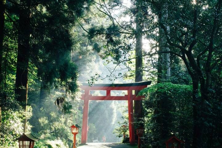 Wonders Of Japan 10-Day Tour by Travel Talk - Himeji Castle and Hiroshima’s Peace Memorial