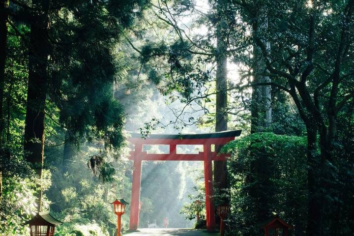 Wonders Of Japan 10-Day Tour by Travel Talk - Miyajima, then Osaka after dark