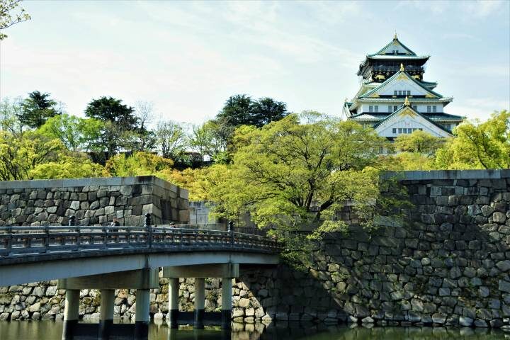 Wonders Of Japan 10-Day Tour by Travel Talk - Nara and a night at a Buddhist temple