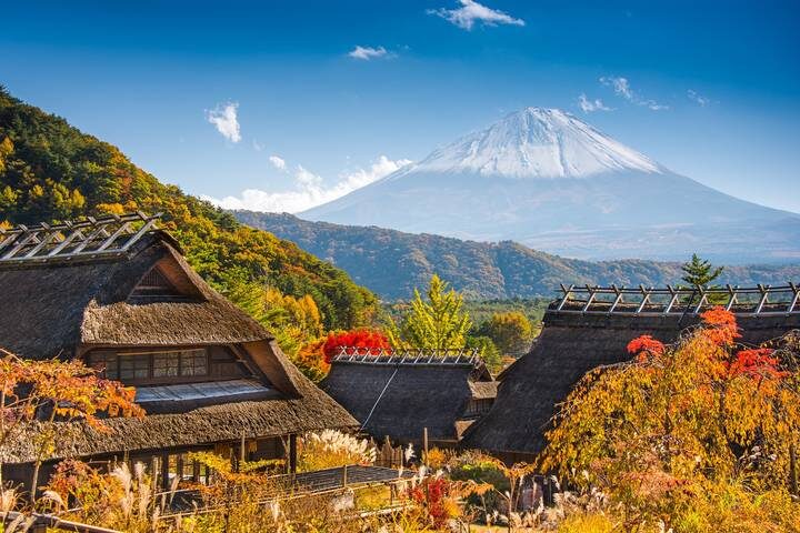 Wonders of Japan end Tokyo 15-Day Tour by Europamundo - Tokyo’s big sights, from Meiji Shrine to Shinjuku