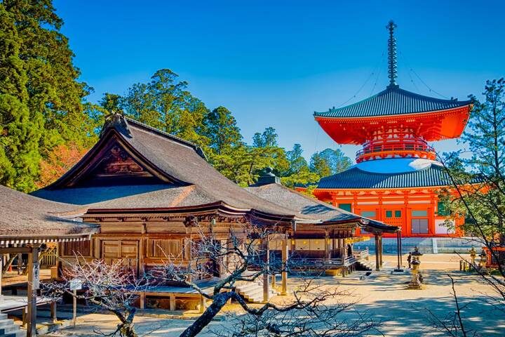 Wonders of Japan end Tokyo 15-Day Tour by Europamundo (2026-27 Departures) - The value, hotels and group experience