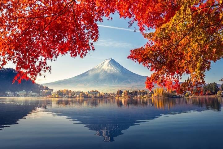 Wonders of Japan end Tokyo GO 15-Day Tour by Europamundo - Castles, Hiroshima and Itsukushima Island