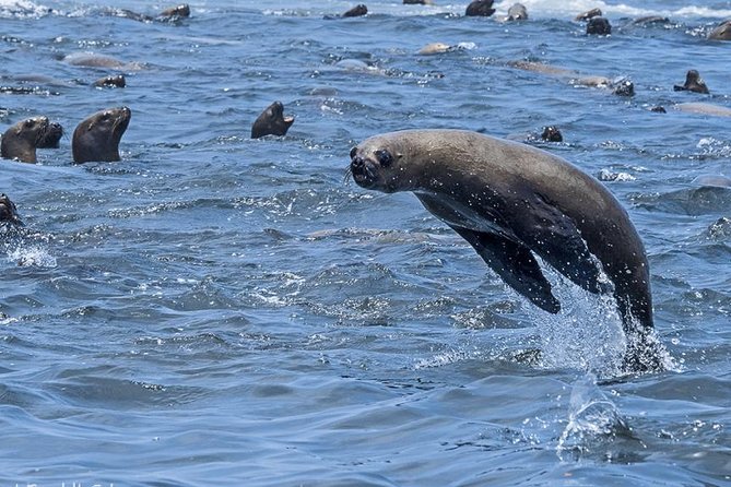 Wonders of Lima Huacachina, Nazca & Paracas 02 Days/01 Night - Traveler Photos