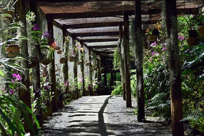 Wonders of Nadi Tour - Hindu Temple, Sleeping Giant Gardens, Markets & Shopping - Experience the Cultural Beauty of Nadi