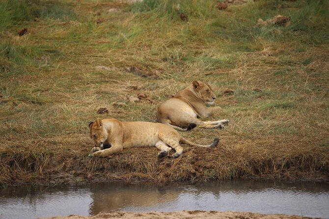 Wonders of Nature: 5-Day Tanzania Wildlife Safari Adventure - Accommodation Details