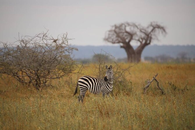 Wonders of Nature: 5-Day Tanzania Wildlife Safari Adventure - Safari Guides