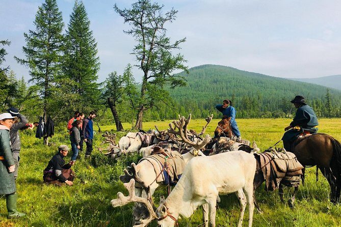 Wonders of Northern Mongolia 15 days - Discovering the Wonders of Northern Mongolia in 15 Days
