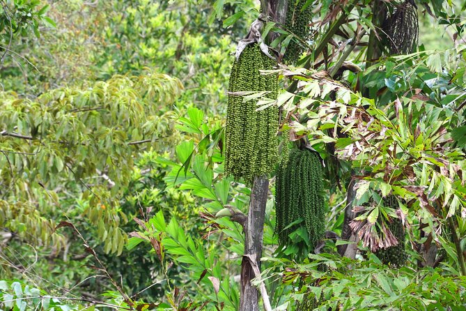 Wonders of Nui Chua National Park - Day Trek in Vinh Hy Bay - Spectacular Views and Landscapes