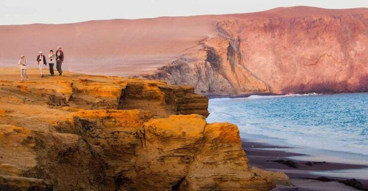 Wonders of Paracas: Ballestas Islands and National Reserve - Activity Details