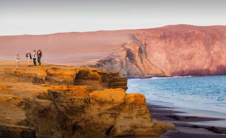 Wonders of Paracas: Ballestas Islands and National Reserve - Experience Highlights