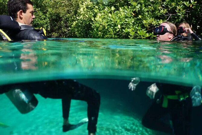 Wonders of the Underwater World: Discover Scuba Diving in Tulum - FAQ