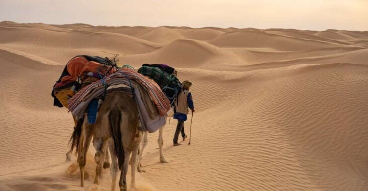 Wonders of Tunisia - 8 Day Tour - Day 2: Berber Villages and 17th-century Berber Cottage
