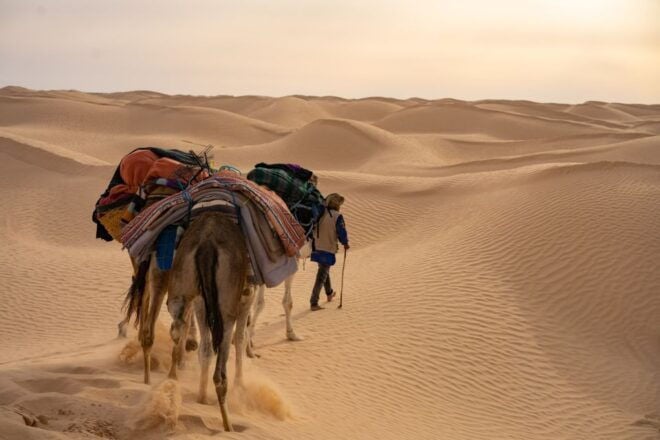 Wonders of Tunisia - 8 Day Tour - Day 4: Tozeur and Chott El Djérid