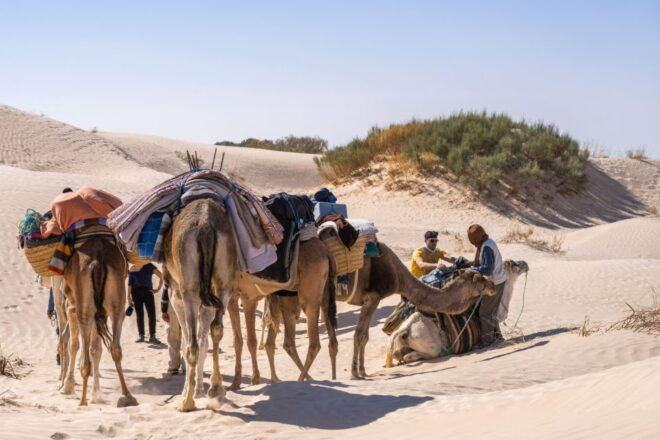 Wonders of Tunisia - 8 Day Tour - Day 5: Mountain Oases and Chébika, Tamerza, Midès