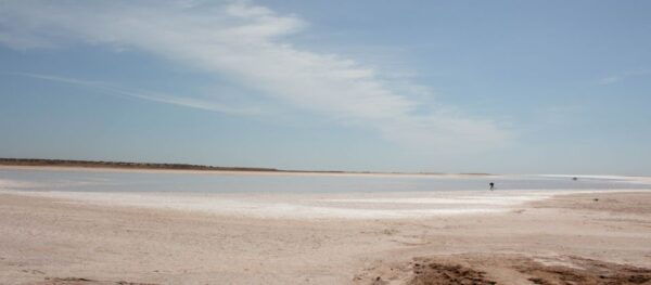 Wonders of Tunisia - 8 Day Tour - Day 7: Return to Djerba and Guellela, Houmt Souk