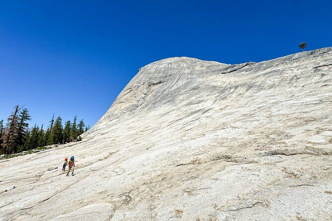 Wonders of Yosemite: Kid Friendly Private Tour - Good To Know