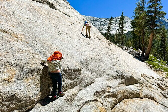 Wonders of Yosemite: Kid Friendly Private Tour - Experience Overview