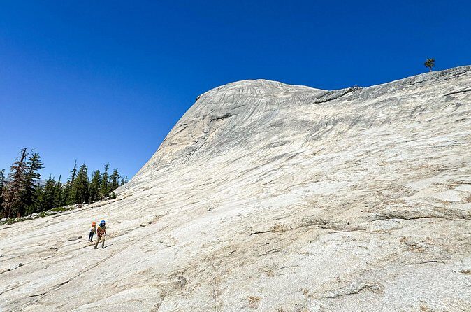 Wonders of Yosemite: Kid Friendly Private Tour - What We Love About This Tour
