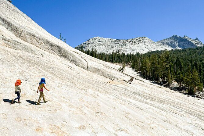 Wonders of Yosemite: Kid Friendly Private Tour - Final Thoughts