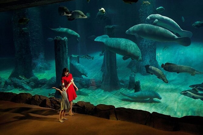 Wondrous Wildlife @ River Wonders Roundtrip Transfers - Additional Information