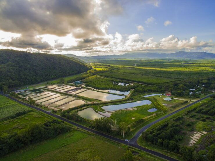 Wonga: Hook-A-Barra Gourmet Farm Tour - Booking Details