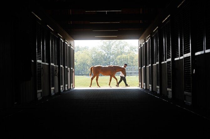 Woodford Reserve, Kismet Thoroughbred Farm & Whiskey Thief - Who Will Love This Tour?