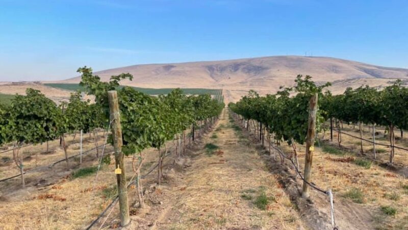 Woodinville Wine Country: Warehouse District Wine Pass - FAQ