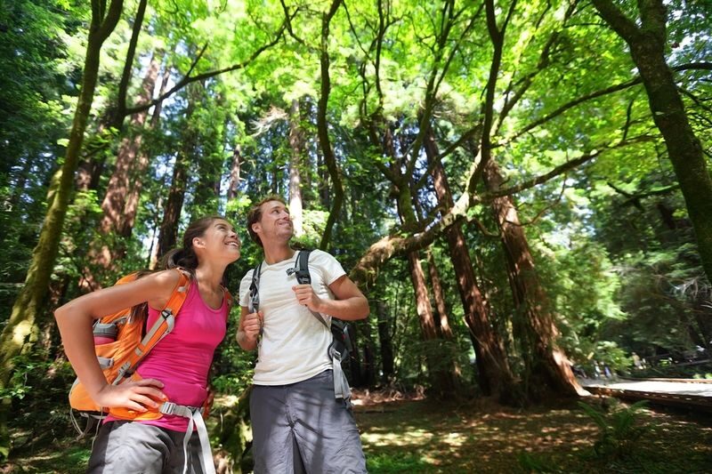 Woods and Wine Tour from San Francisco - A promising route with an important catch