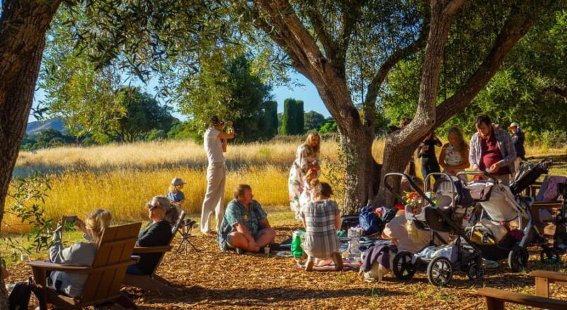 Woodside: Filoli Historic House and Garden Entry Ticket - Good To Know  