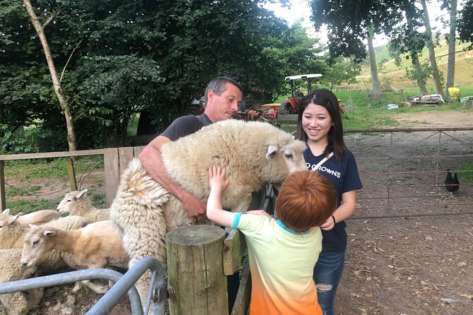 Wool Sheep Farm Experience With Handmade Wool Hat in New Zealand - Overview of the Experience