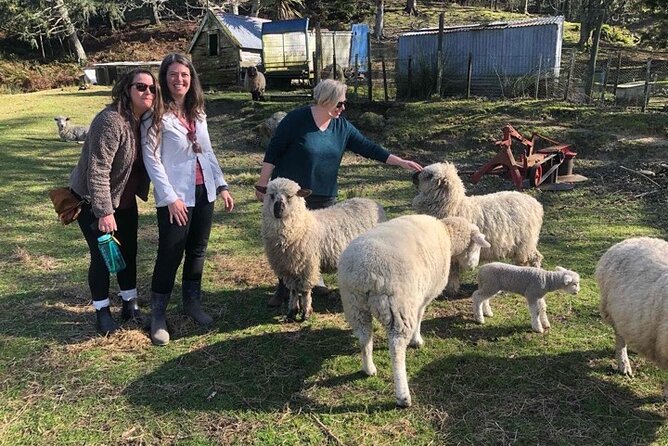 Wool Sheep Farm Experience With Handmade Wool Hat in New Zealand - Inclusions and Package Highlights