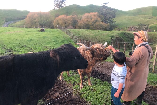 Wool Sheep Farm Experience With Handmade Wool Hat in New Zealand - Common Questions