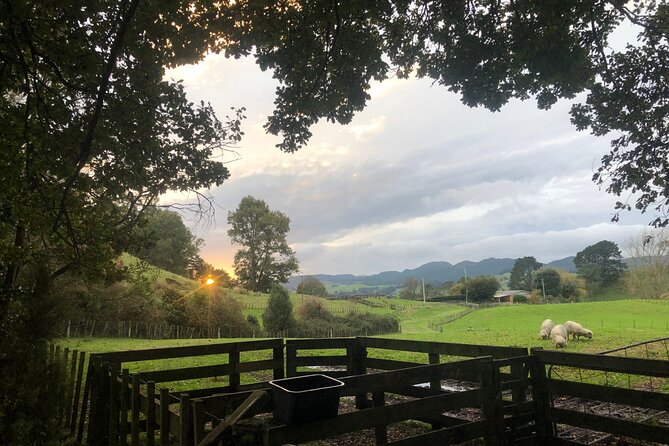 Wool Sheep Farm Experience With Handmade Wool Hat in New Zealand - The Sum Up
