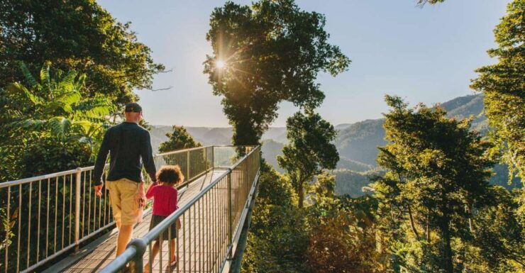 Wooroonooran National Park: Mamu Tropical Skywalk Admission - Ticket Information