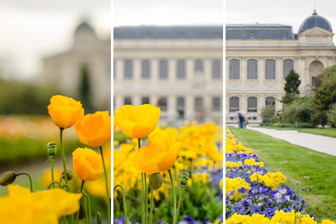 Workshop De Perfectionnement - Workshop Details