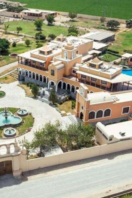 Workshop Making Pisco La Caravedo - Pisco Production Process