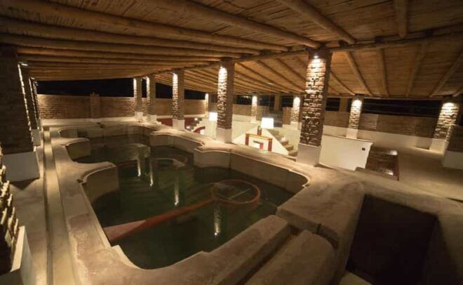 Workshop Making Pisco La Caravedo - About the Activity