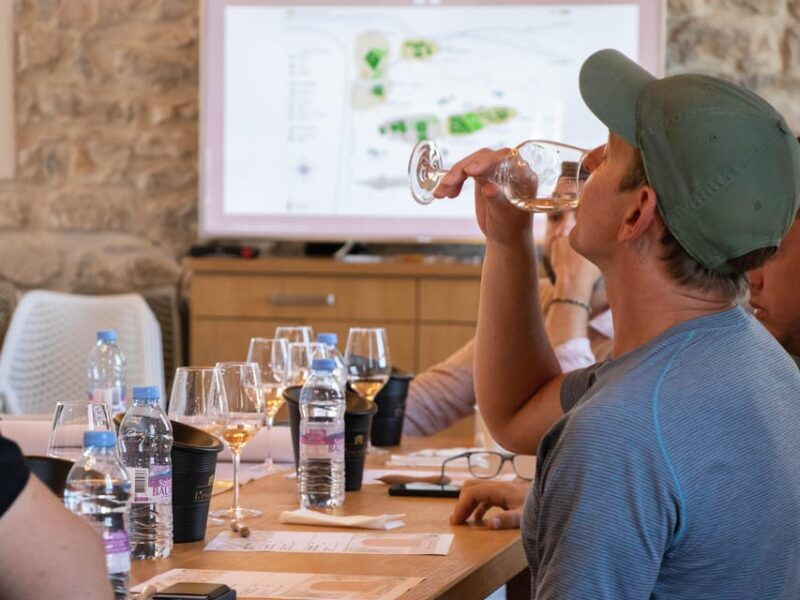 Workshop May 2, 2025 at Château L'escarelle: White Wines From L'escarelle - Good To Know