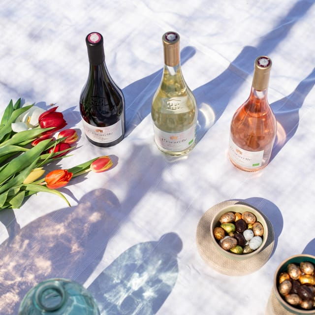 Workshop May 2, 2025 at Château L'escarelle: White Wines From L'escarelle - Terroirs, Grape Varieties, and Vinification