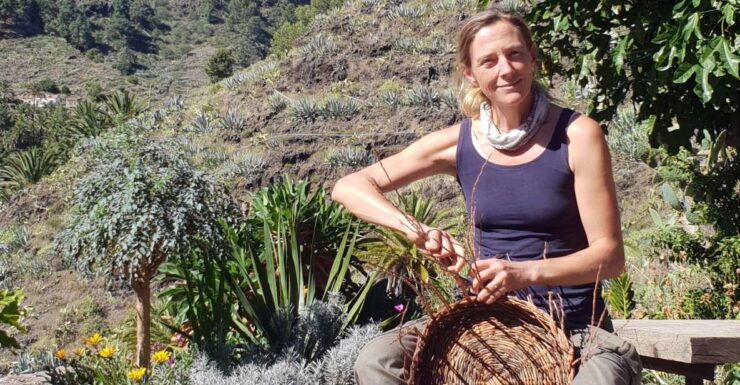 Workshop: Traditional Basketry @ the Canary Island Date Palm - Location Details