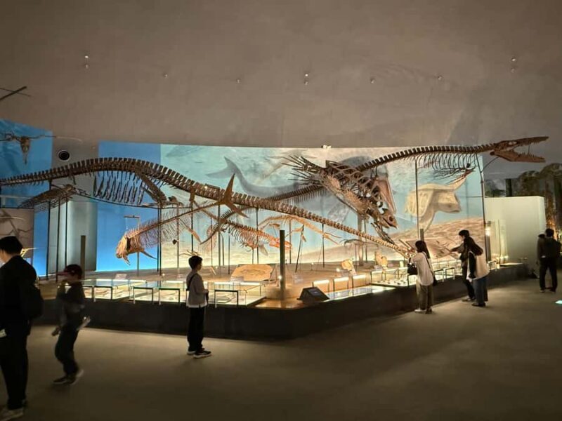 World-Class Dinosaur Museum Tour from Kanazawa - The Sum Up