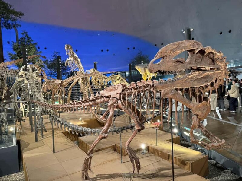 World-Class Dinosaur Museum Tour from Kanazawa - Frequently Asked Questions