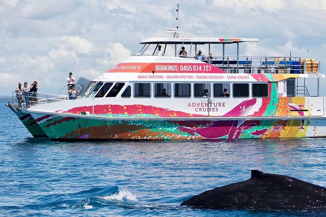 World class Whale Watching from Hervey Bay - The Value for Money