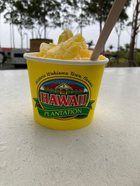 World Famous Dole Plantation & The North Shore Island Tour! - Tour Details