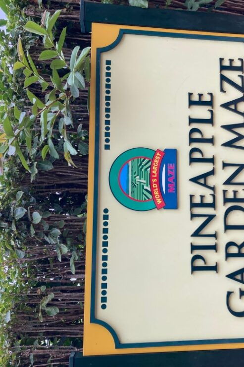 World Famous Dole Plantation & The North Shore Island Tour! - Highlights
