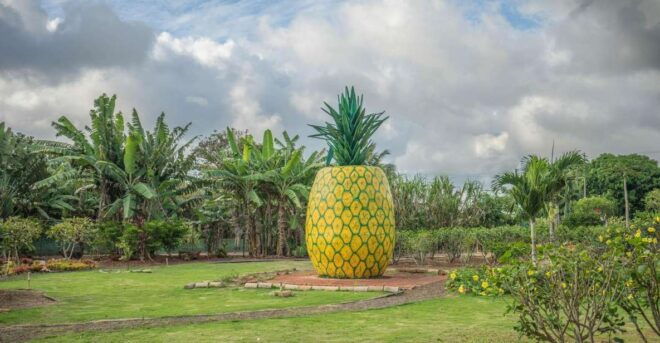 World Famous Dole Plantation & The North Shore Island Tour! - Tour Inclusions