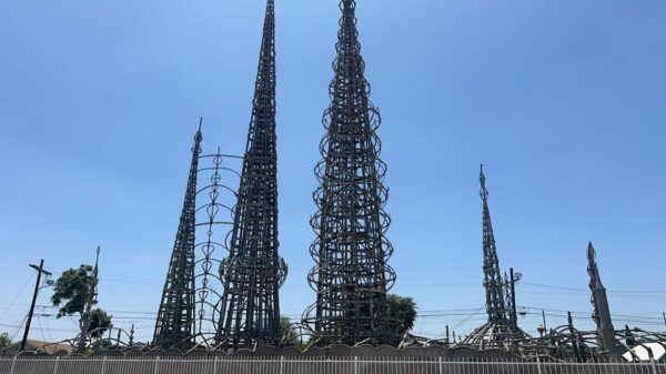WORLD FAMOUS L.A. HOOD LIFE TOUR - Customer Feedback and Ratings